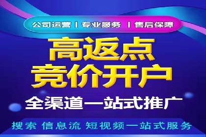 实战派经验分享：百度竞价代理成功案例揭秘